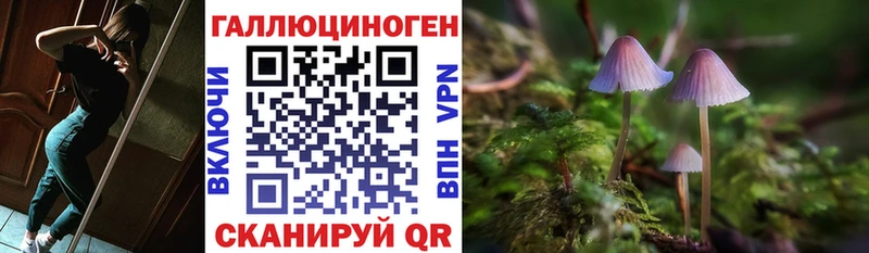 купить наркотики цена  hydra   Псилоцибиновые грибы Psilocybe  Новоульяновск 